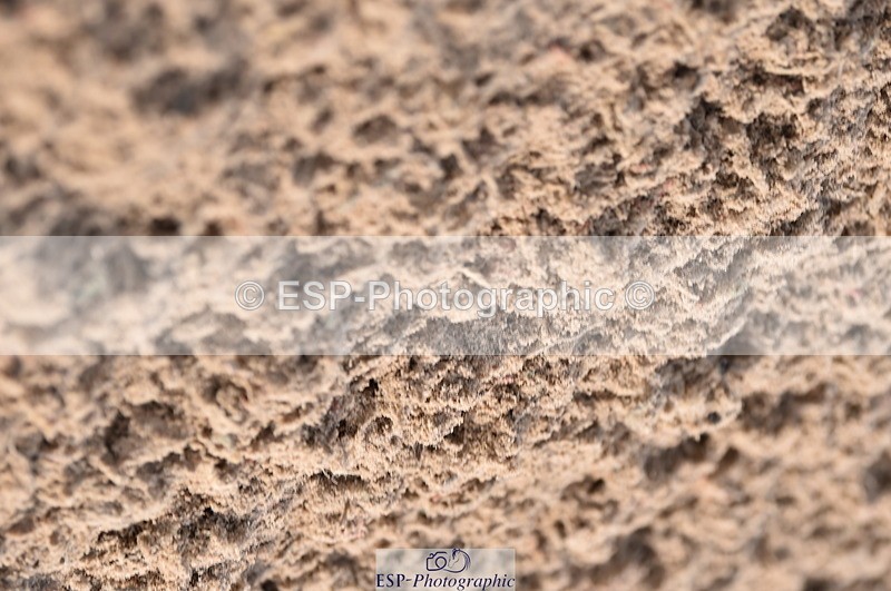 231015A-125322-08156 - Cls 25 95cm Amateur Q 2nd R