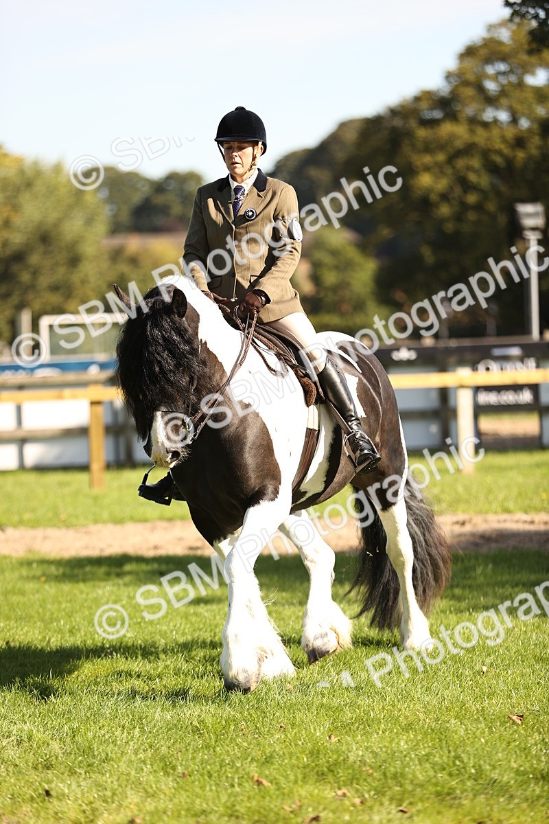 SBM_16929 - S2 - TSR Ridden Pony Showing