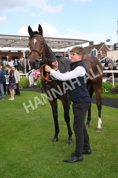 yr10062022r6-40 - Race 6 4.40pm No 1 York by GuestHouse Hotels British EBF Novice Fillies Stakes