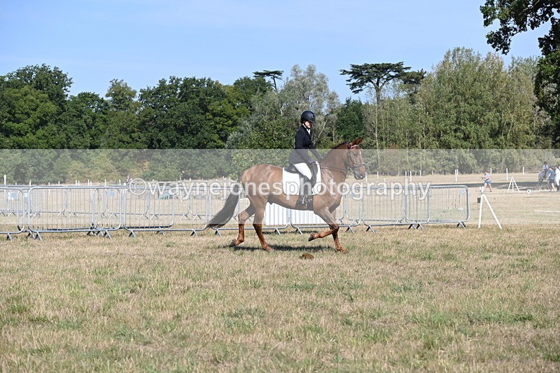 WJ6_7220 - Class 33 Rescue Pony