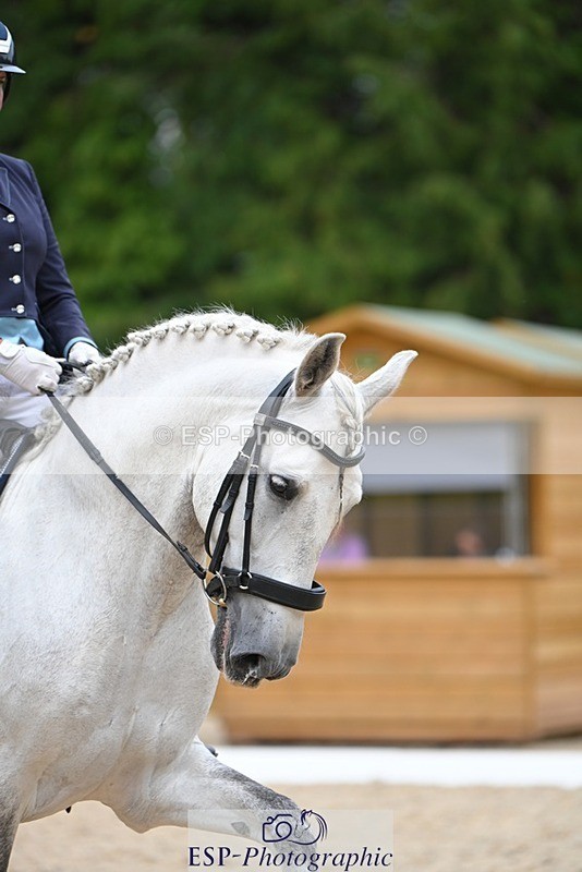 230813-173158-08688 - Cls 14 Medium Silver 16.45 to End