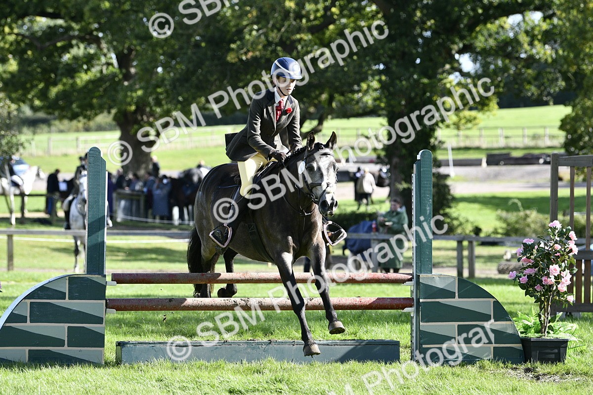 SBM_49997 - S34 - Novice & Newcomers Working Hunter