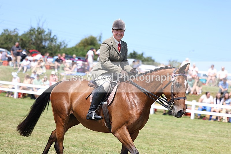 3E7A9404 - Class 12: Open Racehorse to Show Horse
