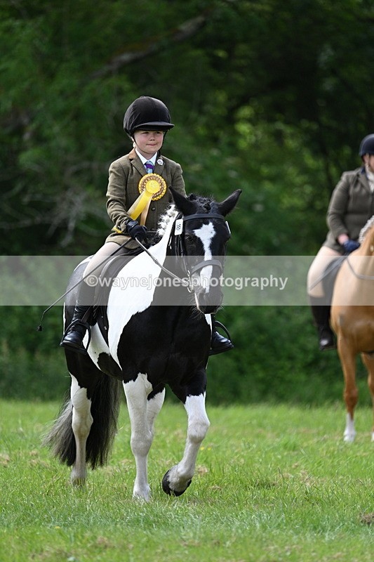 WJ7_2721 - Class 12A Coloured Class