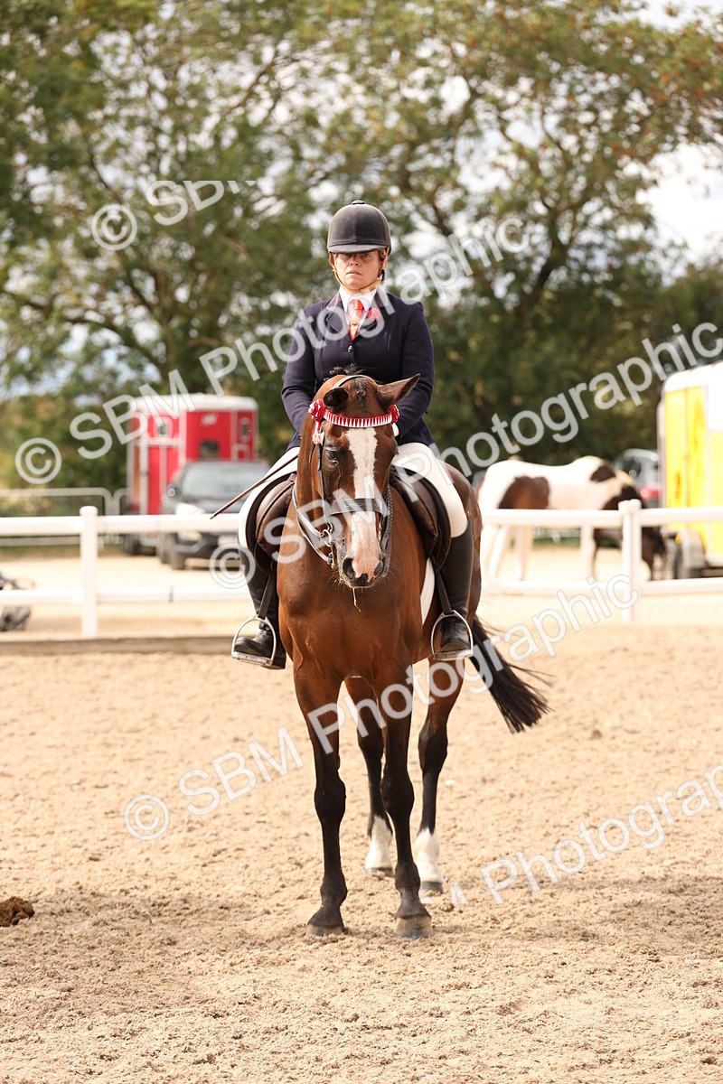 SBM_17374 - Class 214 - Ridden Hack Riding Horse