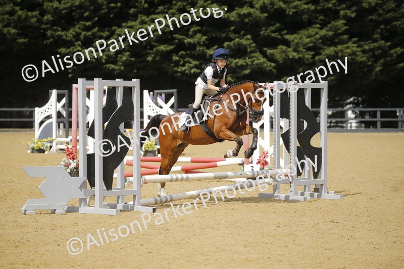 20250622-3821 - 50cm