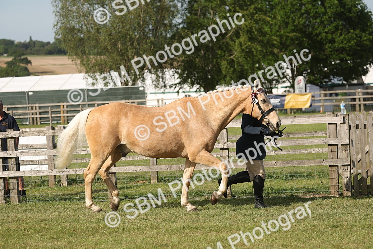 SBM_10461 - Class 33-38 - SSADL RIHS Qualifiers