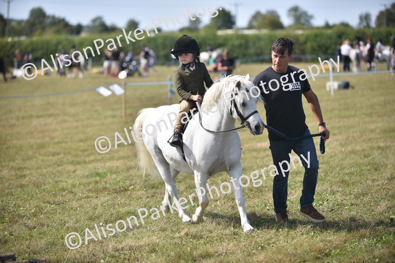 20260906-1785 - Class 11 - 13hh and Under