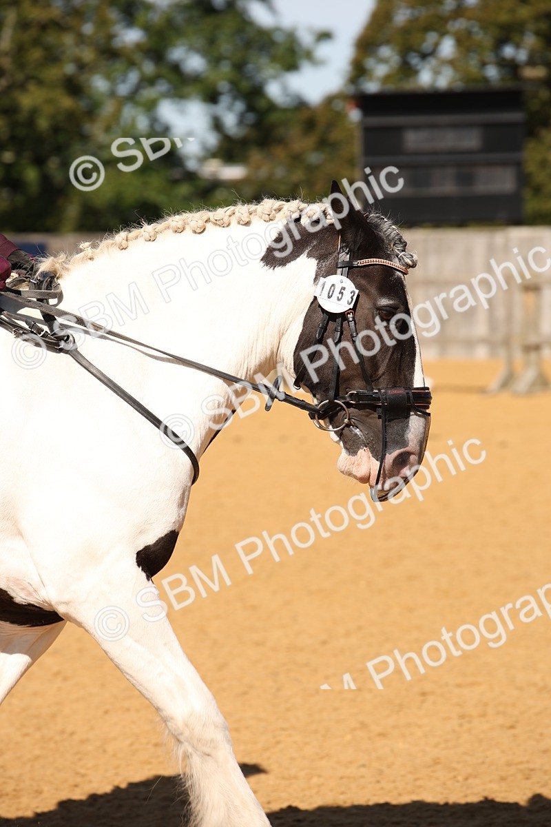 SBM_21669 - D5 - Small Tour Championship - Intro C