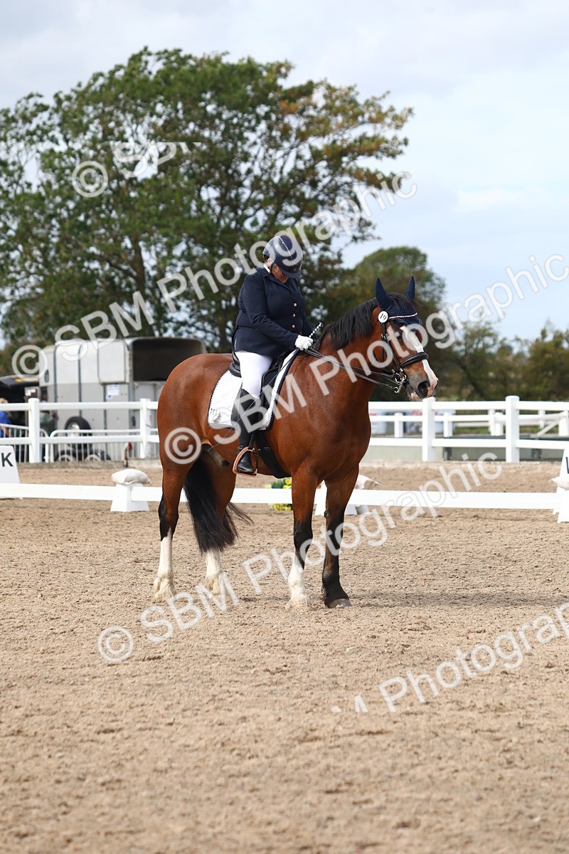 SBM_04862
