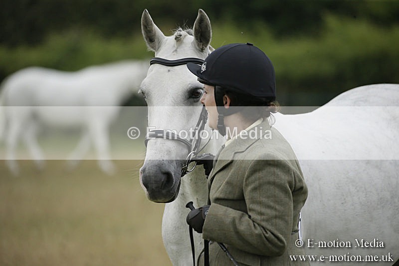 B230619-0246 - Bourne Valley Riding Club Summer Show 23/06/19