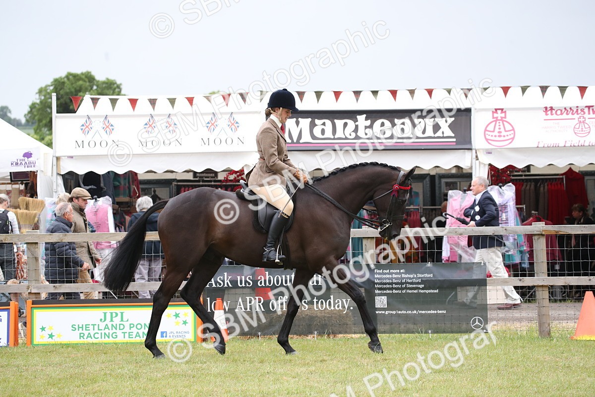 SBM_11383 - Class 94 - LIHS BSHA Racehorse to Showhorse