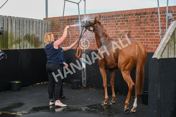 250823-Race 4-Live In The Dream-0507 - Race 4 3.35pm Coolmore Wootton Bassett Nunthorpe Stakes