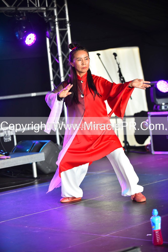 SH4_1469 - Tai Chi with Lisa Kay.