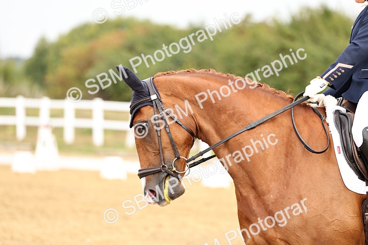 SBM_012292 - Class 2 - Prelim 5