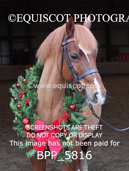 BPP_5816 - Sarah Page