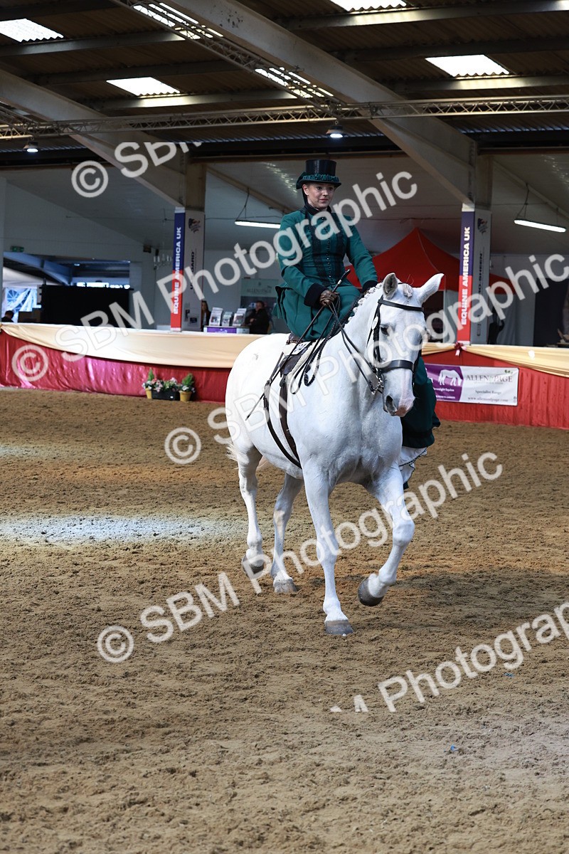 SBM_13576 - Class 105 - Ridden Costume - Side Saddle