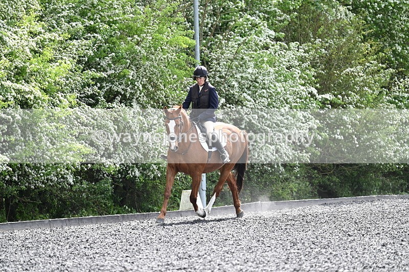 WJ7_0658 - Time 13:29 to 13:59