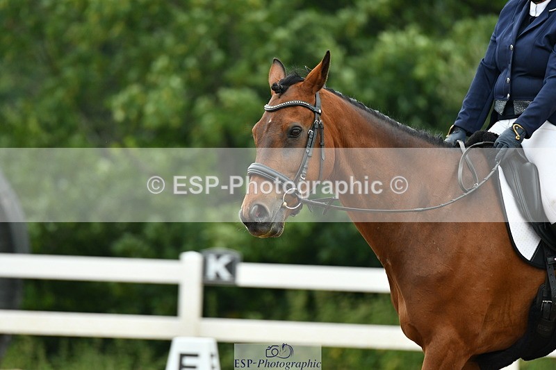 230708A-115316-01206 - Novice 23