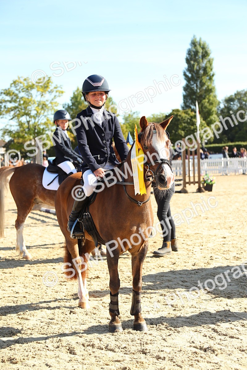 SBM_36036 - J5 - Junior Pony 50cm Championship