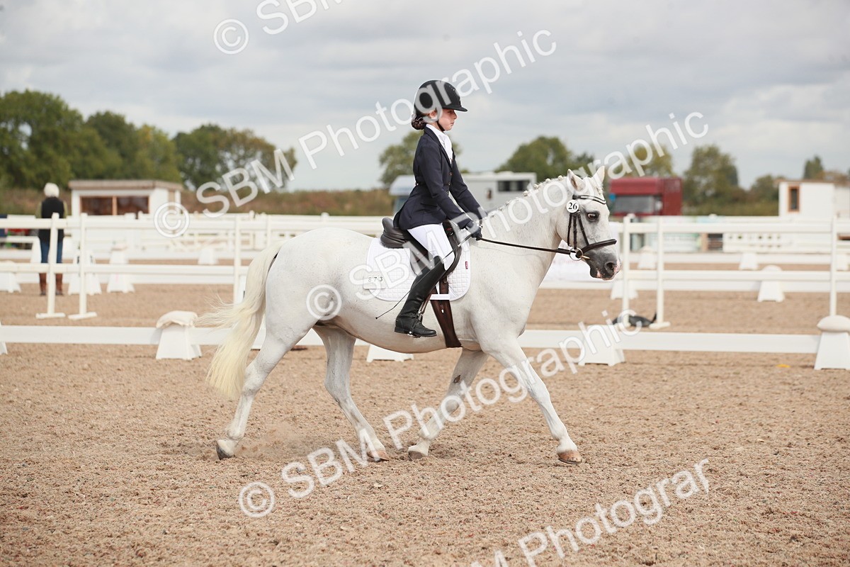 SBM_03960 - Class 31 - Prelim 1