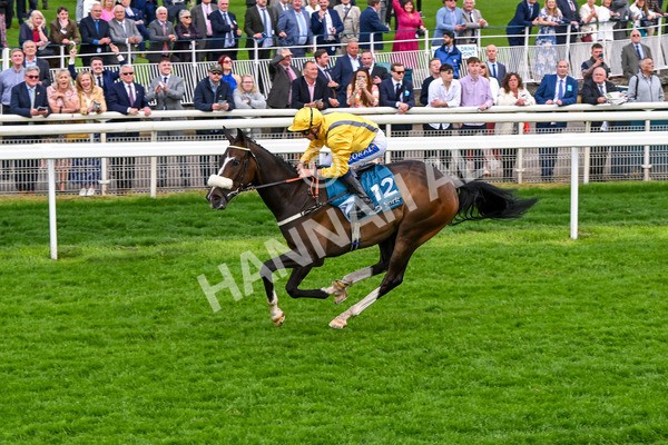 150524-Race 7-Dancing In Paris-4749 - Race 7 5.20pm Stuey Weston & Friends Getting Out Handicap