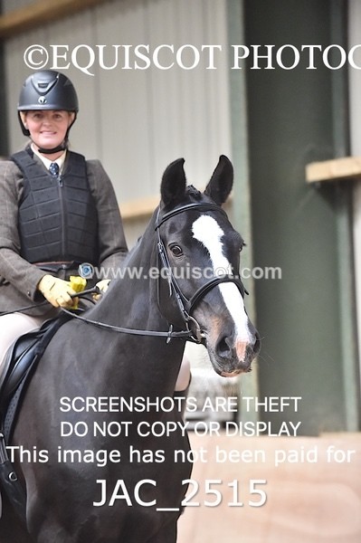 JAC_2515 - CLASS 3 Intermediate Working Hunter