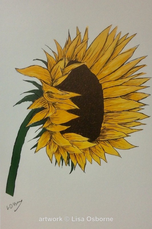 Sunflower - Flowers