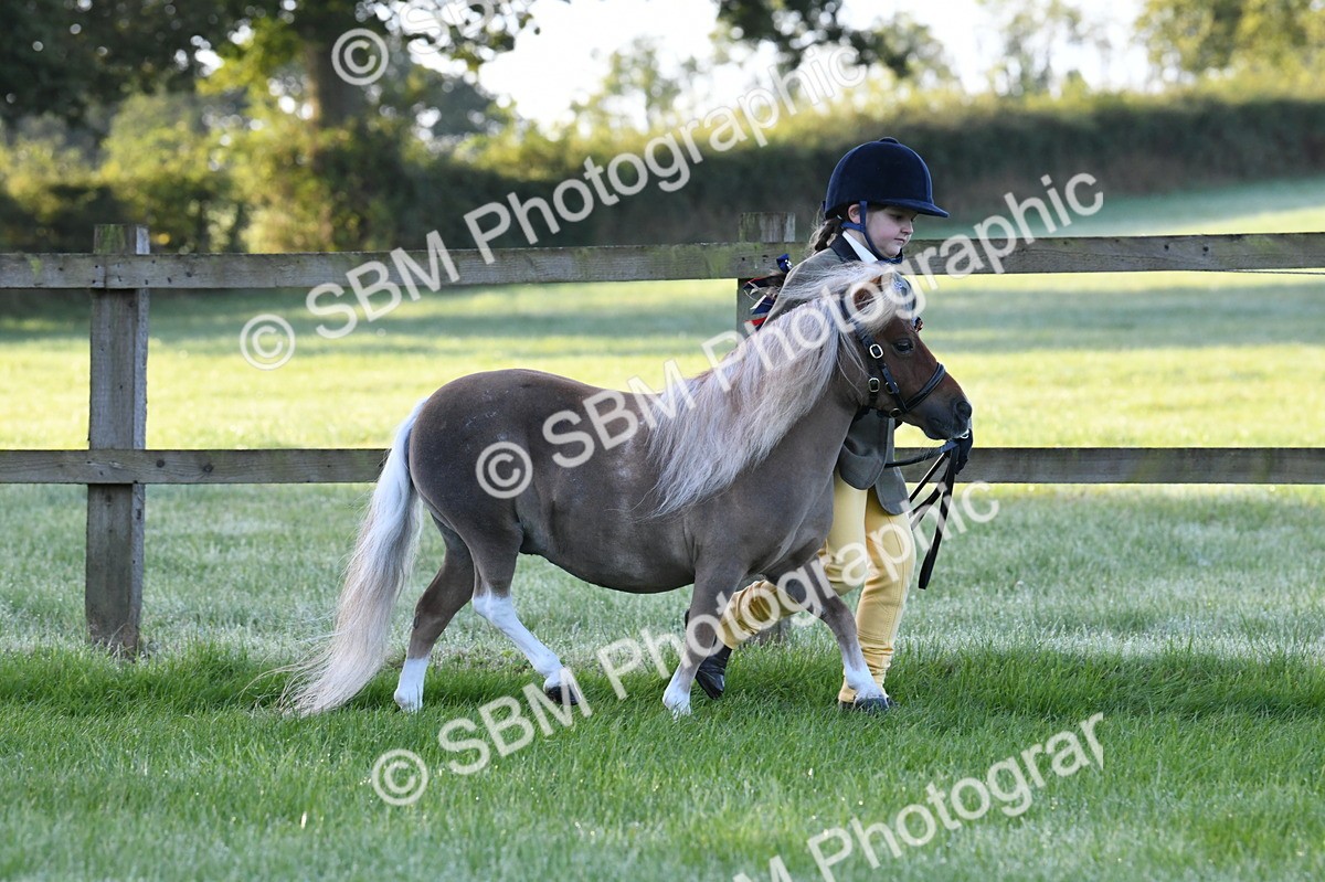 SBM_32609 - S15 - Condition & Turnout In Hand