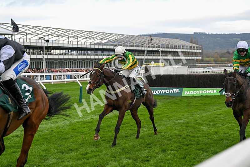 161124-Race 3-Noble Anthem-0010 - Race 3