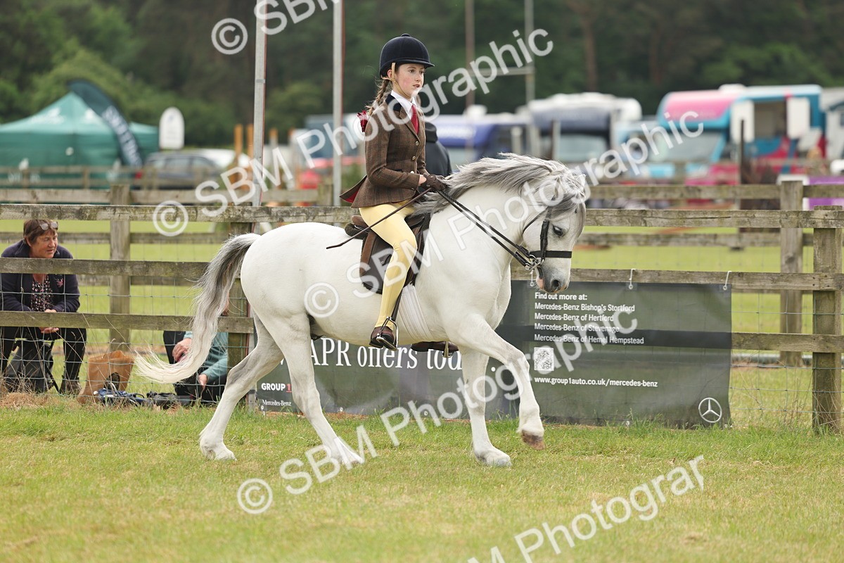 SBM_07102 - Class 76-77 - Ridden M&M Welsh Ponies