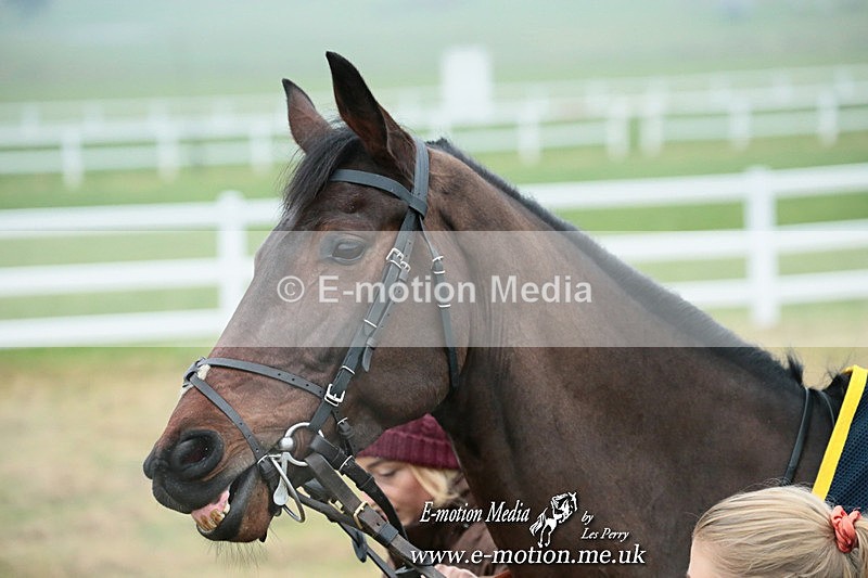 PtP 261123 34 - Hursley Hambledon Point-to-Point Larkhill 26 Nov 2023