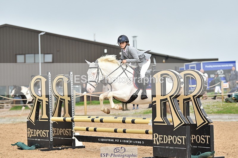 230902A-112506-00705 - Cls 2B Pony Small 80cm