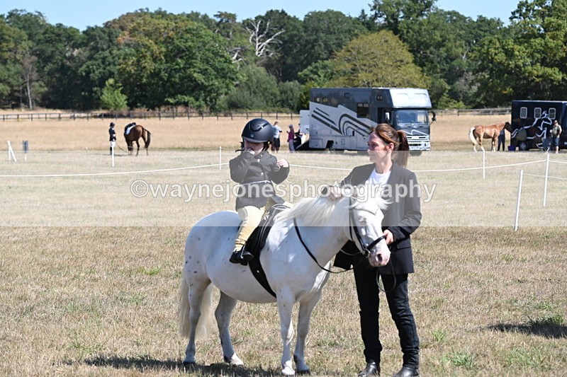 WJ6_8129 - Class 36 Lead Rein