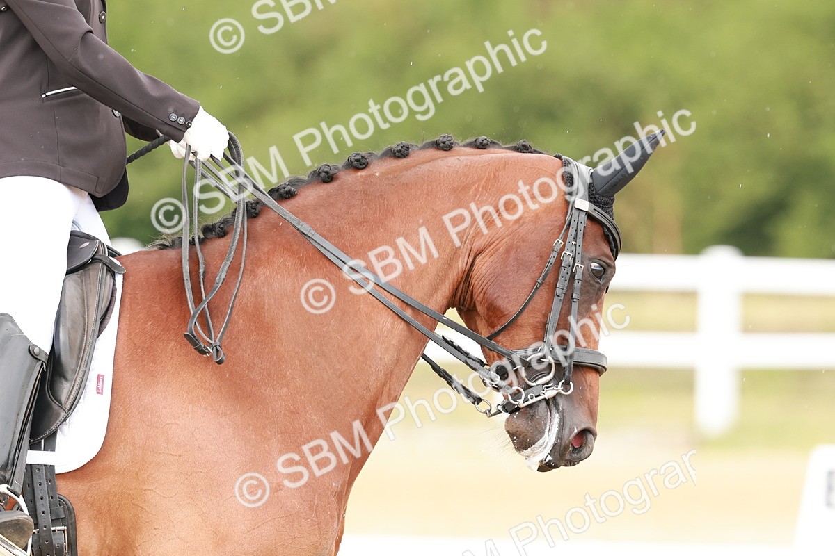 SBM_001864 - Class 8 - Elementary 6