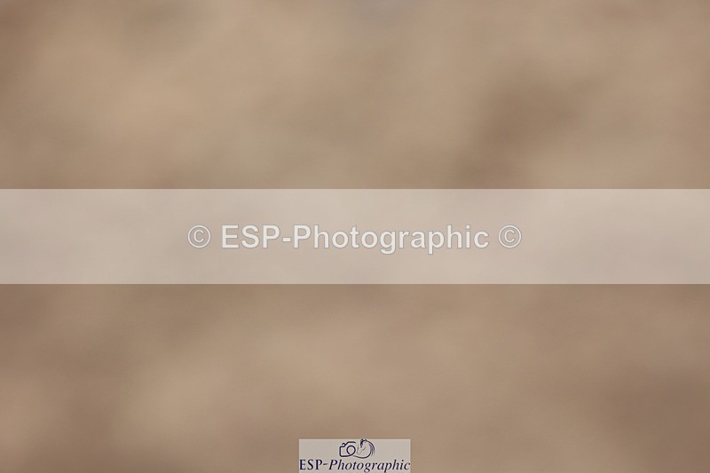 250621-102905-06241 - Cls 31 - Freestyle Elementary