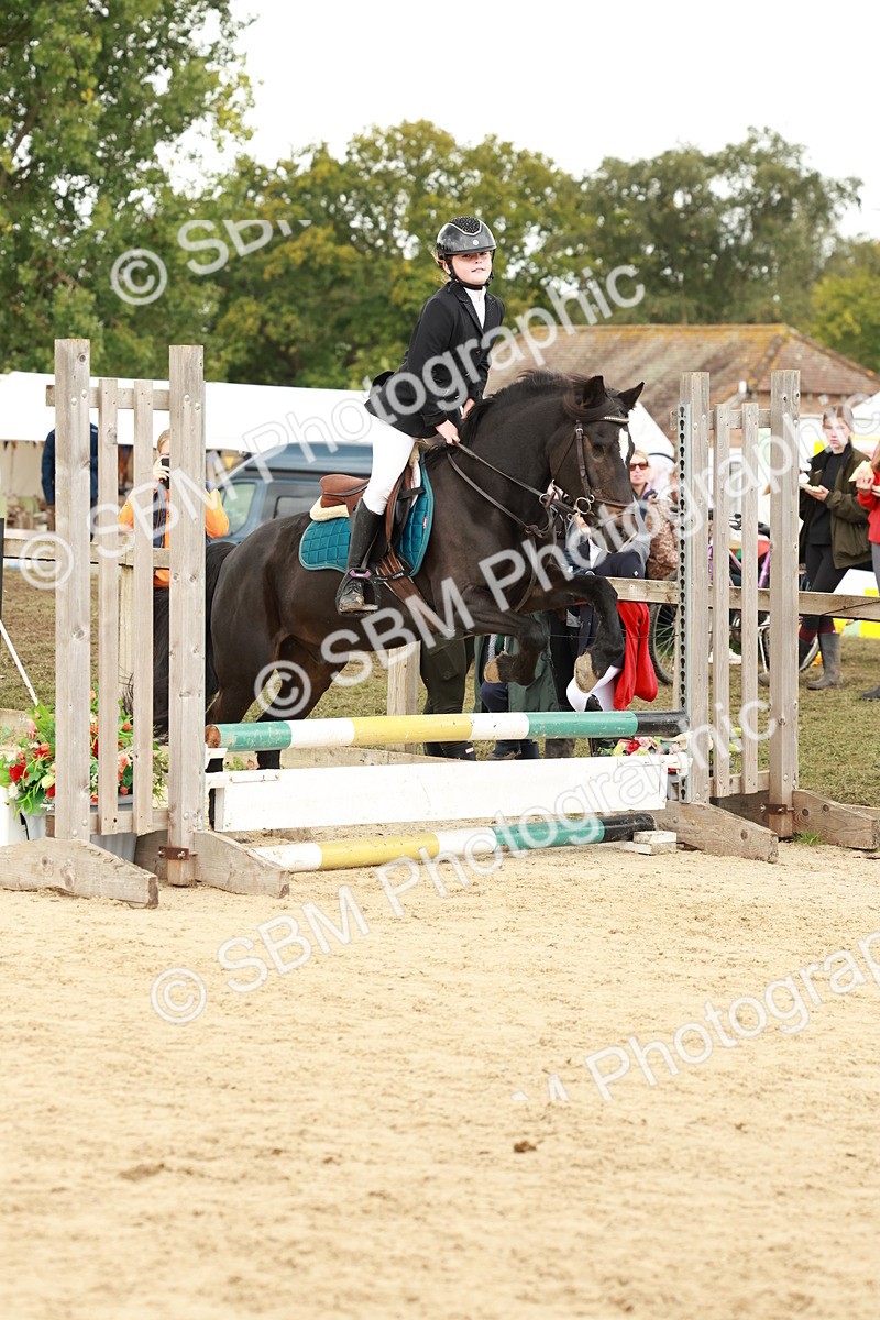 SBM_63561 - J12 - Junior Pony 55cm Championship