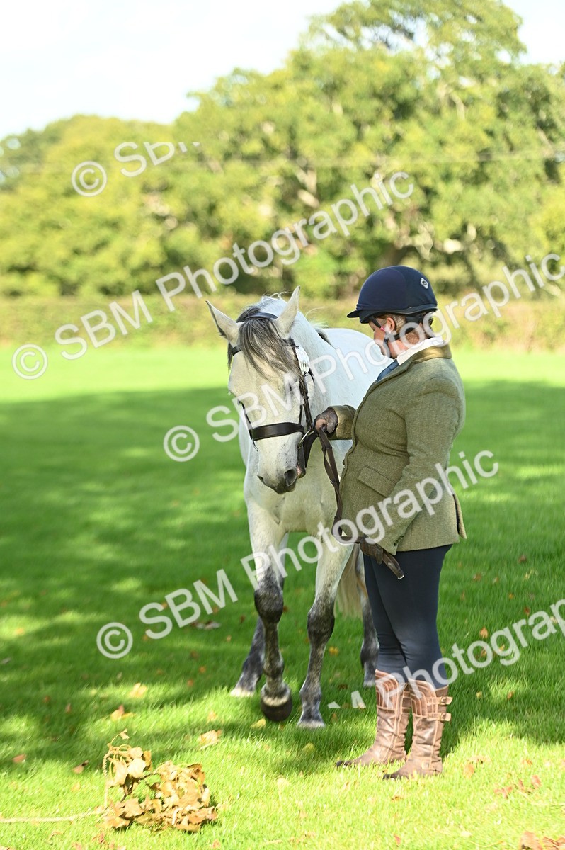 SBM_15884 - S1 - TSR in Hand Horse & Pony Showing