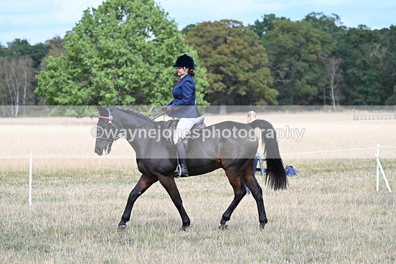 WJ7_5787 - Class 13 Ridden Veterans