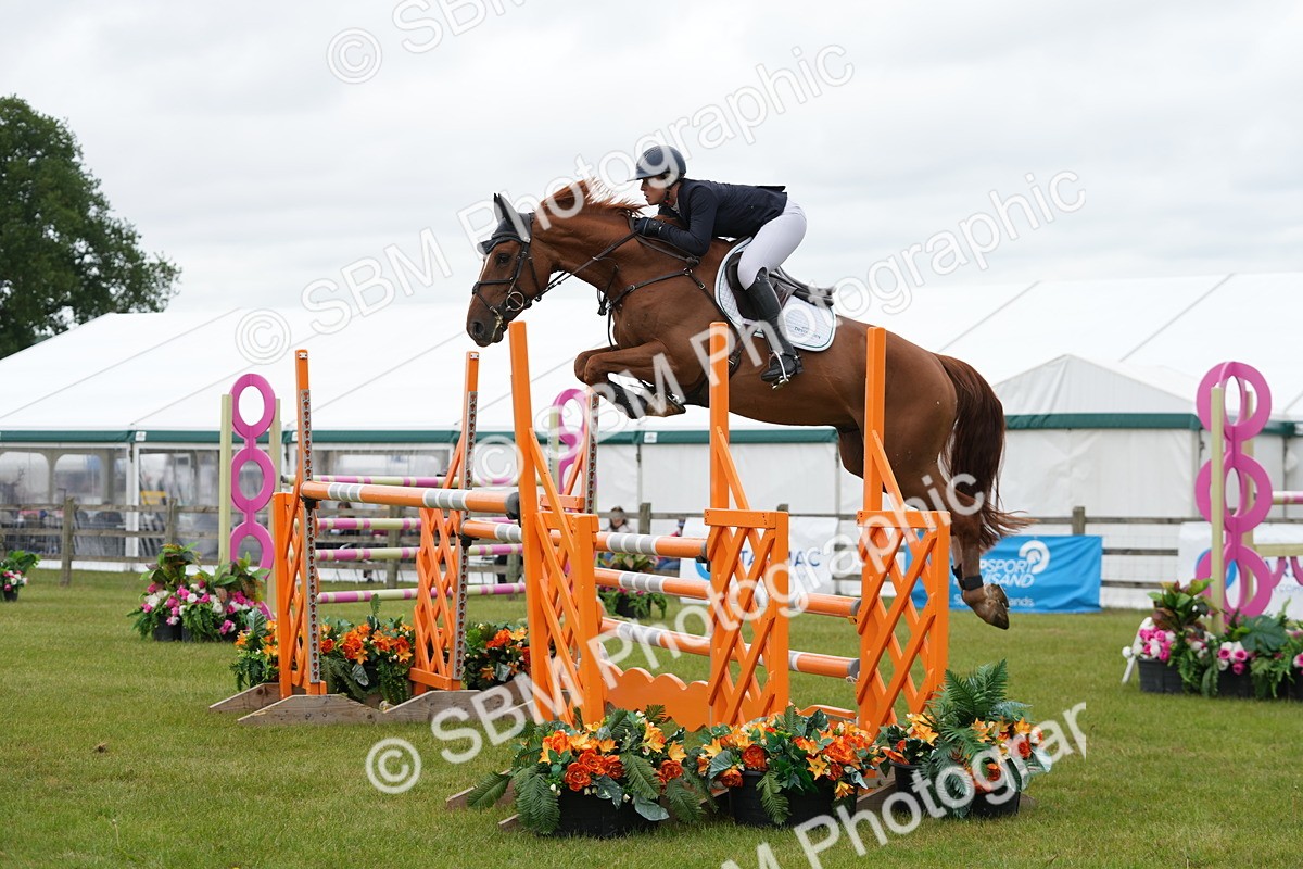 SBM_03231 - Class 201 - British Horse Feeds Speedi Beet Horse of the Year Show Grade  C