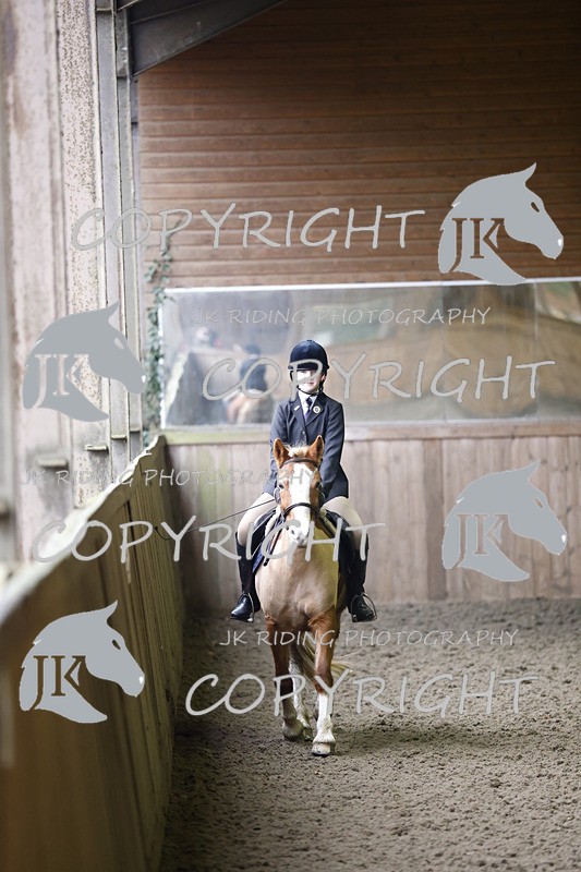 _R6A1370 - Class 1 walk trot 2022