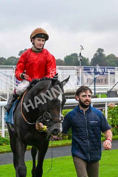 080924-Race 3-Brighton Boy-9119 - Race 3 2.50pm Irish Thoroughbred Marketing Nursery Handicap