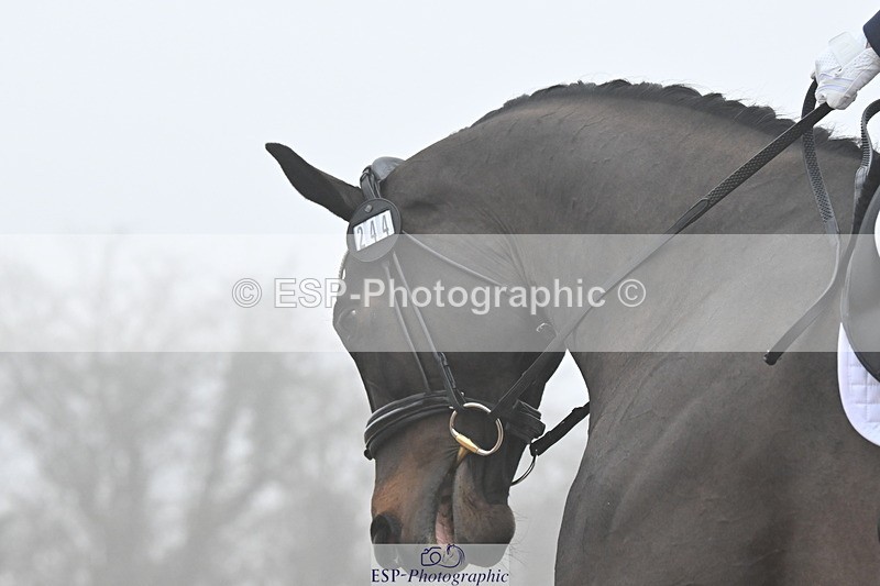 240217A-103731-01136 - 244-Tamara.Egglestone-OLINDE