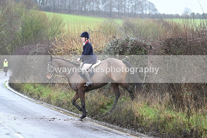 WJ7_7037 - Crossing A Camera