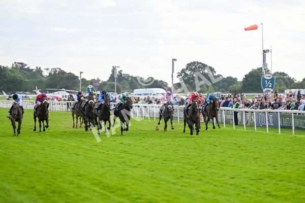 230824-Race 4-Bradsell-9386 - Race 4 3.35pm Coolmore Wootton Bassett Nunthorpe Stakes