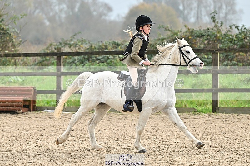 241110-103223-00334 - 40cm Showjumping