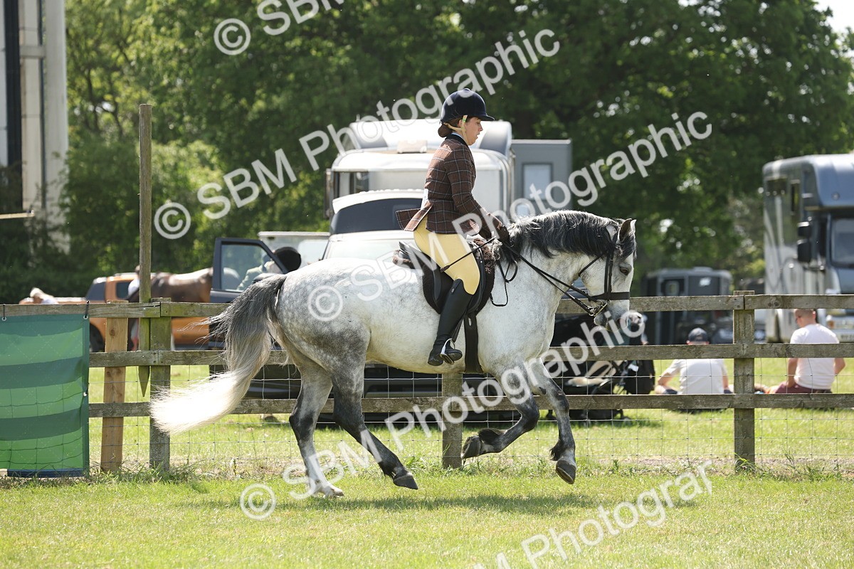 SBM_07603 - Class 26-30 - Mountain and Moorland Ridden