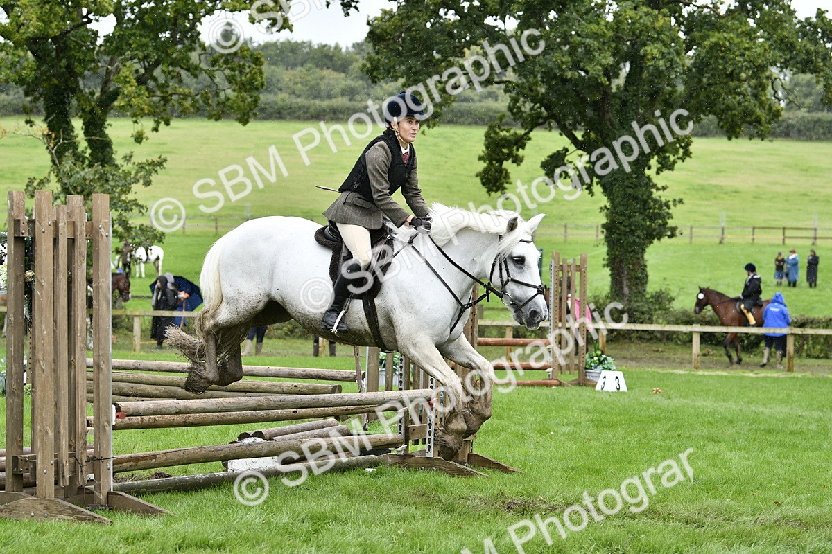 SBM_42277 - S32 - Mountain & Moorland Working Hunter Pony