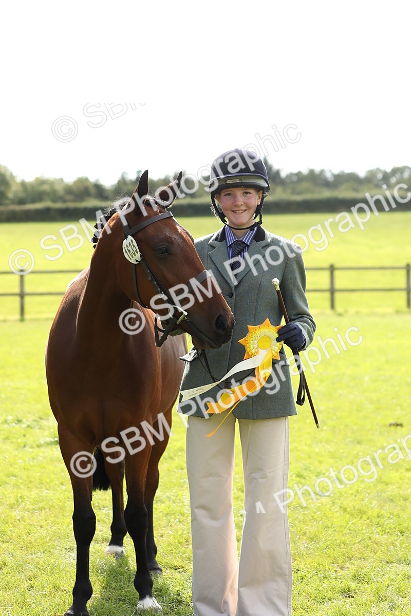 SBM_65634 - S48 - Show Pony & Show Hunter Pony In Hand