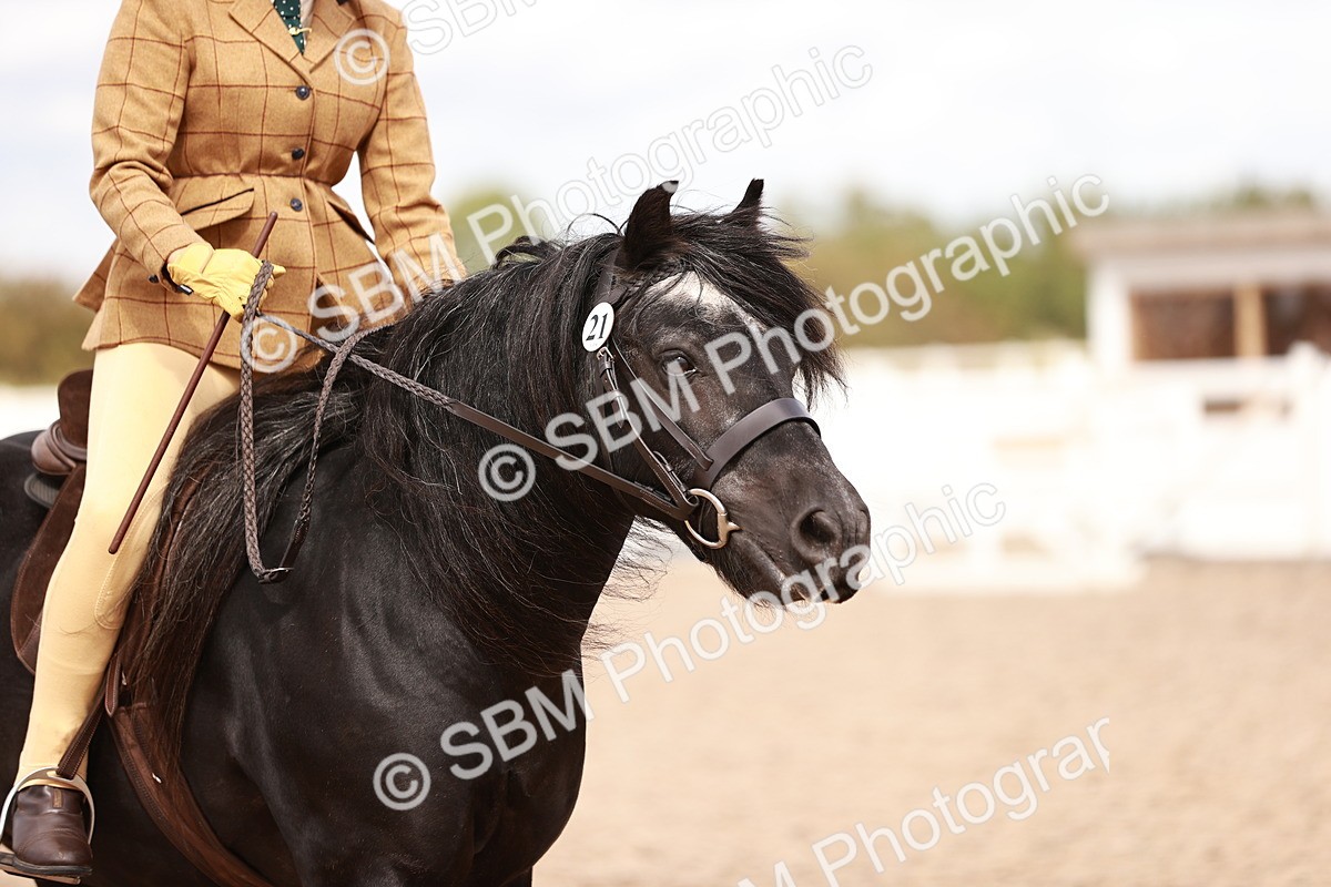 SBM_14326 - Class 408 - Grassroots Ridden -Walk & Trot